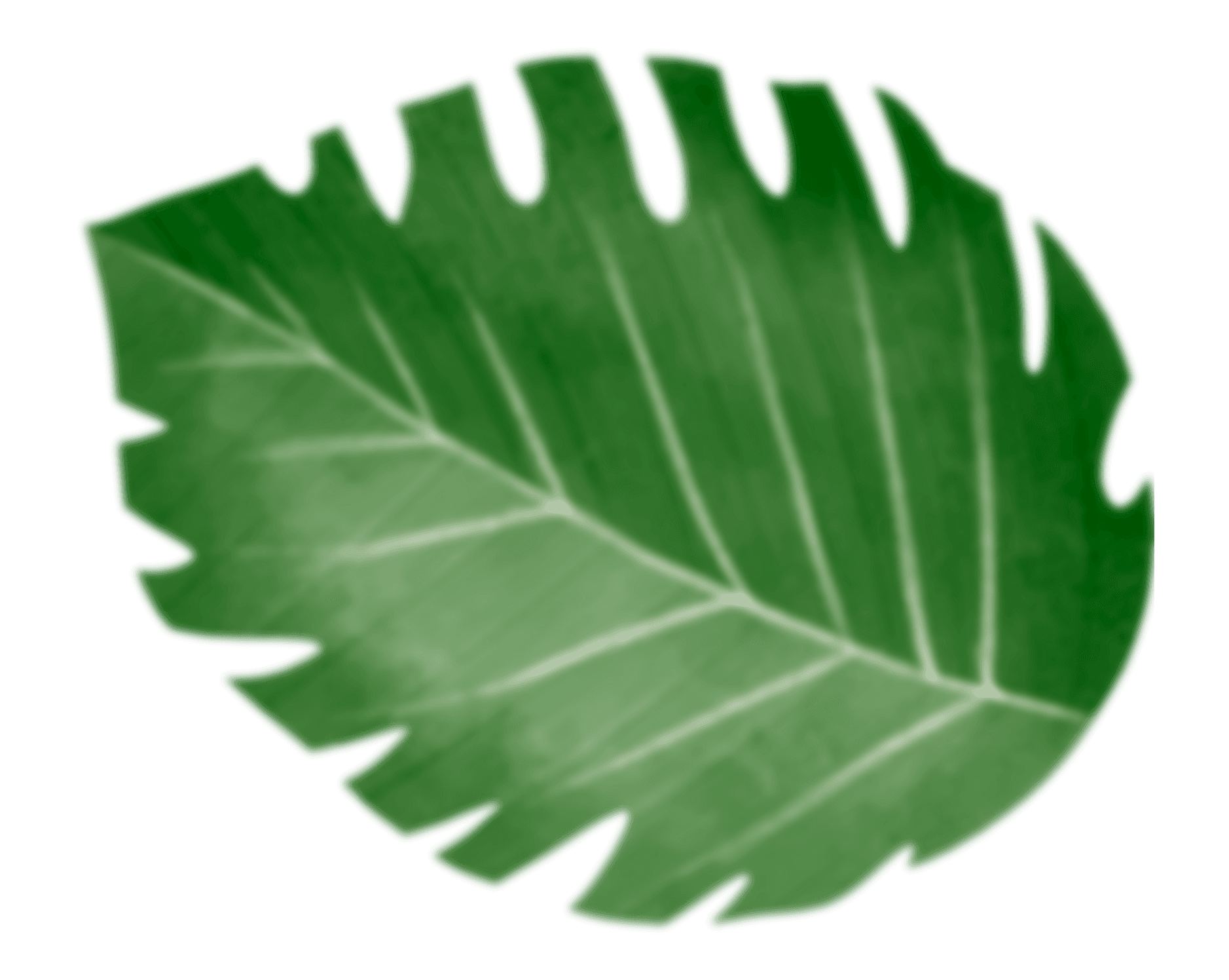 Daun Tropis Bali
